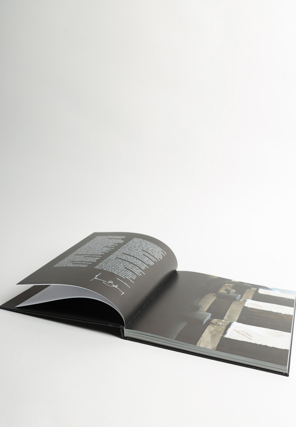 Book “Balsamic, the Black Gold of Modena”